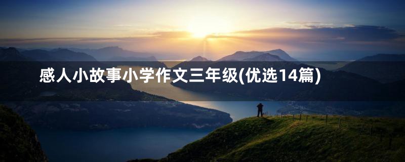 感人小故事小学作文三年级(优选14篇)