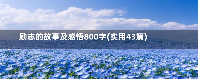 励志的故事及感悟800字(实用43篇)