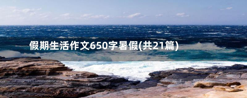 假期生活作文650字暑假(共21篇)