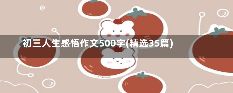 初三人生感悟作文500字(精选35篇)