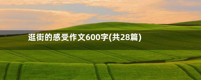 逛街的感受作文600字(共28篇)