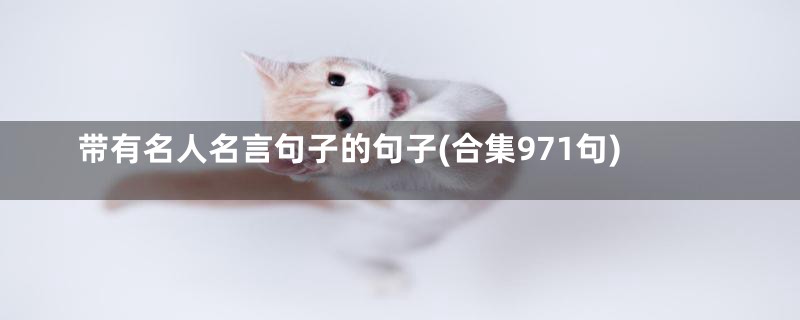 带有名人名言句子的句子(合集971句)