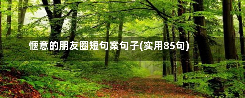 惬意的朋友圈短句案句子(实用85句)