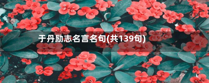 于丹励志名言名句(共139句)