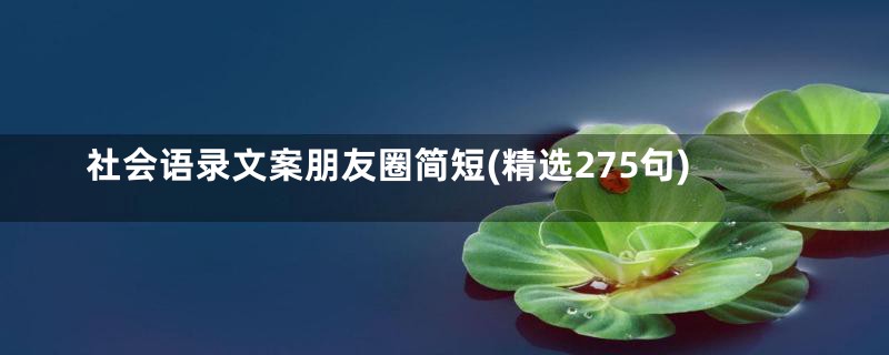 社会语录文案朋友圈简短(精选275句)