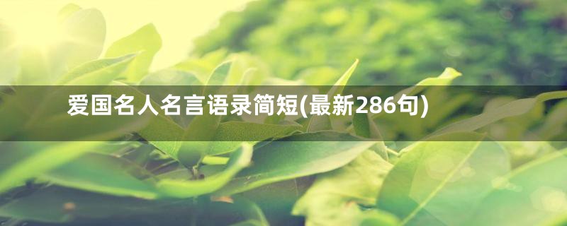 爱国名人名言语录简短(最新286句)