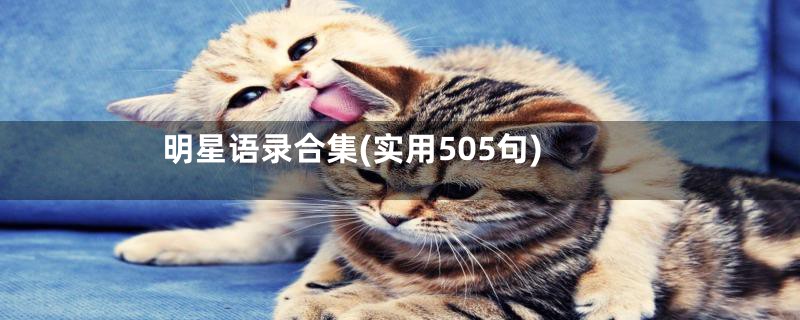 明星语录合集(实用505句)