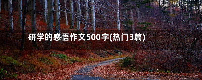 研学的感悟作文500字(热门3篇)