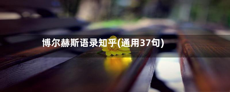 博尔赫斯语录知乎(通用37句)