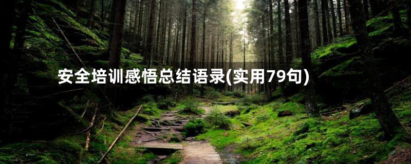 安全培训感悟总结语录(实用79句)