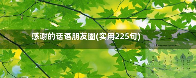 感谢的话语朋友圈(实用225句)