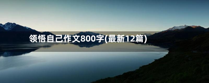 领悟自己作文800字(最新12篇)