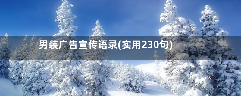 男装广告宣传语录(实用230句)