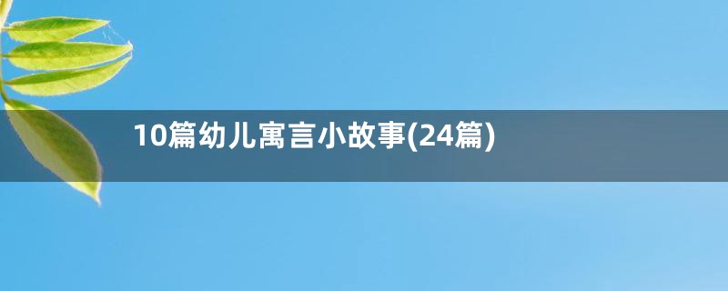 10篇幼儿寓言小故事(24篇)