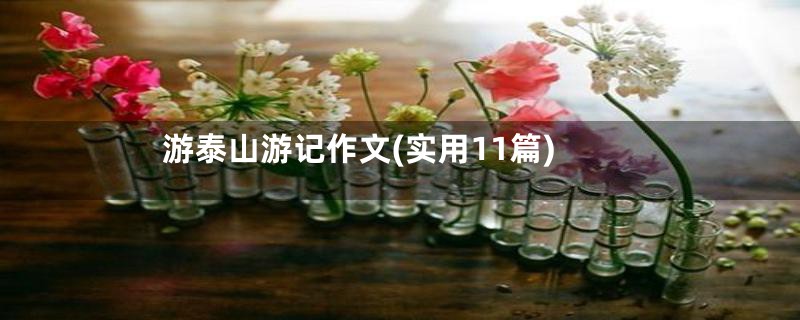 游泰山游记作文(实用11篇)