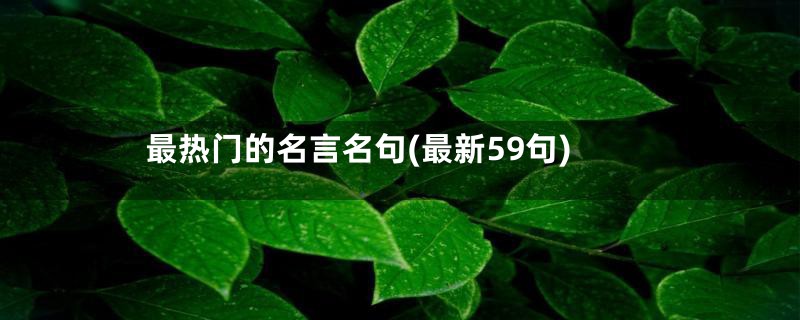 最热门的名言名句(最新59句)