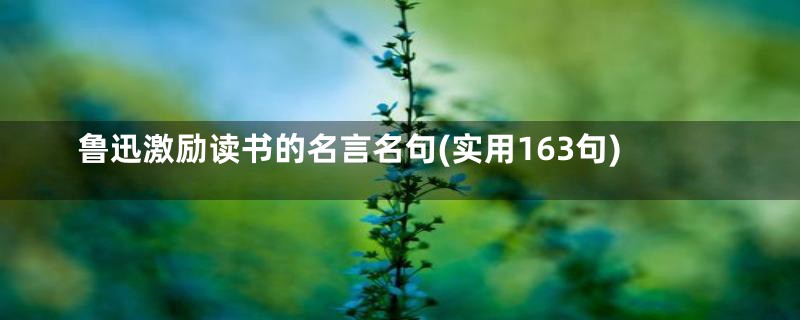 鲁迅激励读书的名言名句(实用163句)