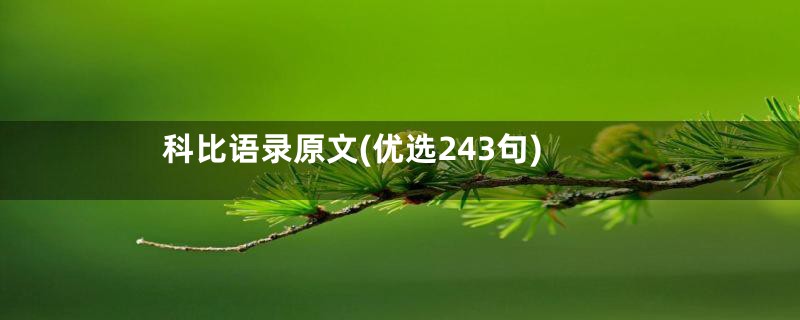 科比语录原文(优选243句)