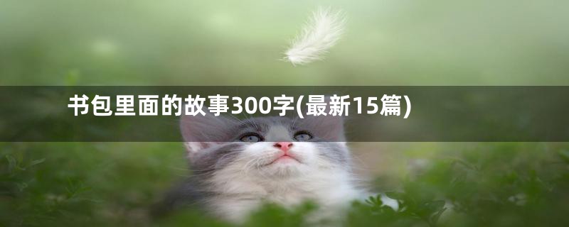 书包里面的故事300字(最新15篇)