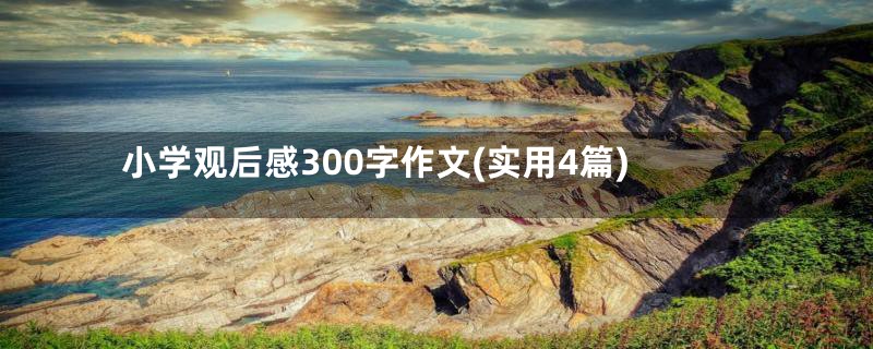 小学观后感300字作文(实用4篇)