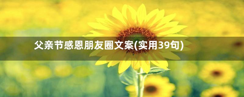 父亲节感恩朋友圈文案(实用39句)