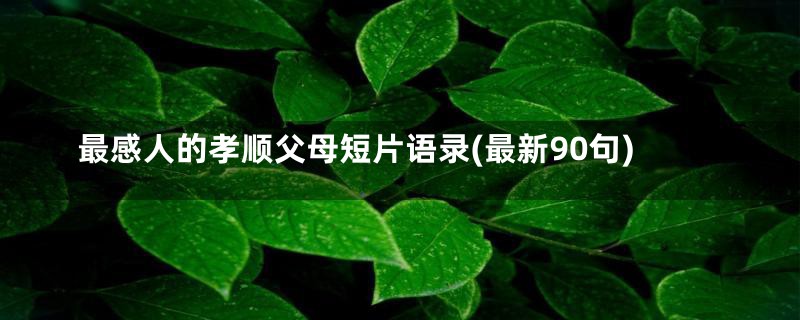 最感人的孝顺父母短片语录(最新90句)