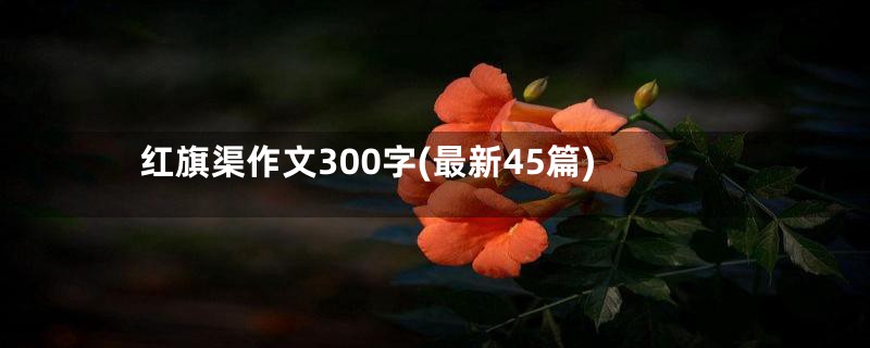 红旗渠作文300字(最新45篇)