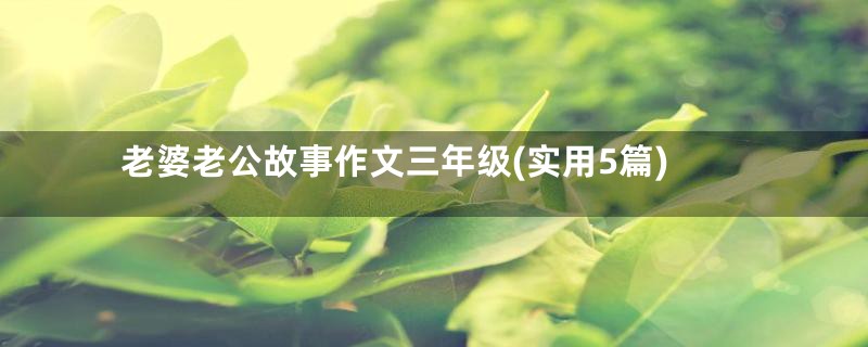 老婆老公故事作文三年级(实用5篇)