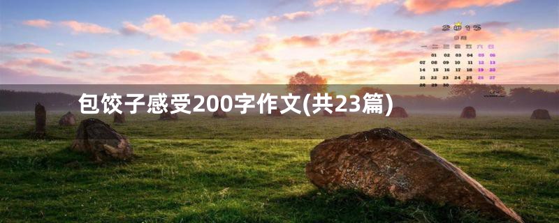 包饺子感受200字作文(共23篇)