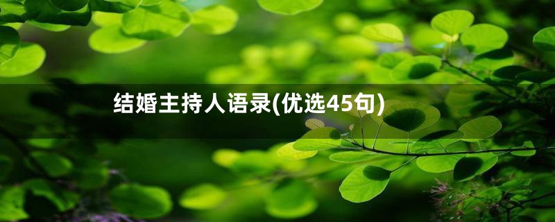 结婚主持人语录(优选45句)