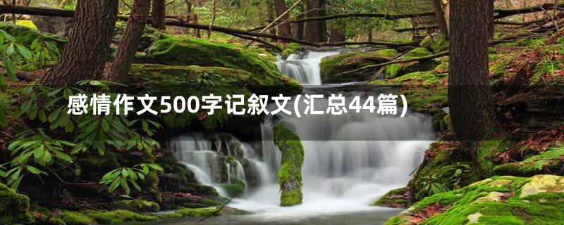 感情作文500字记叙文(汇总44篇)