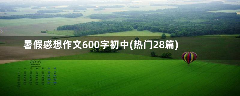 暑假感想作文600字初中(热门28篇)