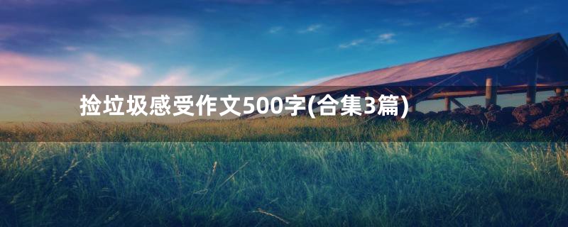 捡垃圾感受作文500字(合集3篇)