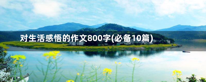 对生活感悟的作文800字(必备10篇)