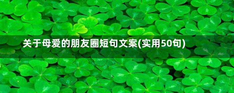 关于母爱的朋友圈短句文案(实用50句)