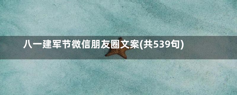 八一建军节微信朋友圈文案(共539句)