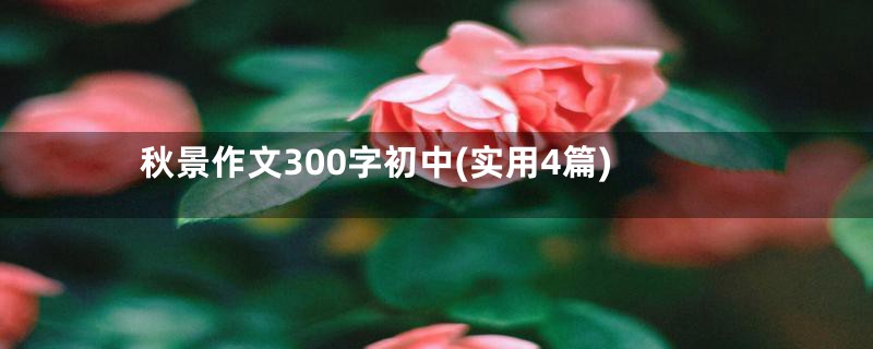 秋景作文300字初中(实用4篇)