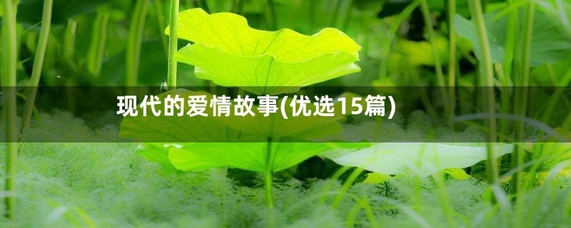 现代的爱情故事(优选15篇)