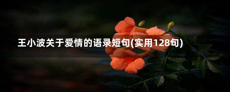 王小波关于爱情的语录短句(实用128句)