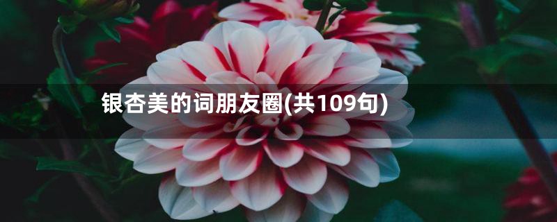 银杏美的词朋友圈(共109句)