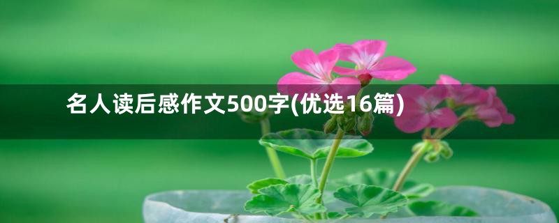 名人读后感作文500字(优选16篇)