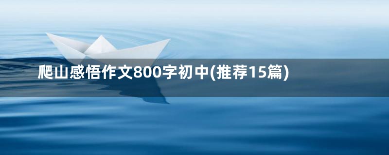 爬山感悟作文800字初中(推荐15篇)