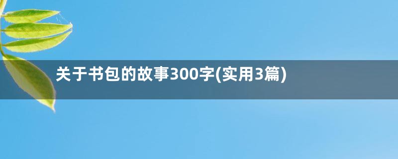 关于书包的故事300字(实用3篇)