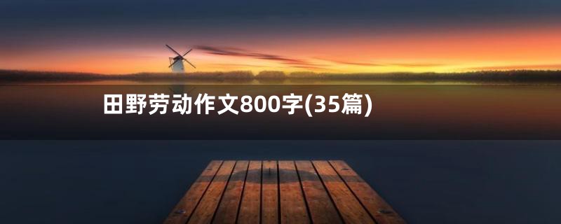 田野劳动作文800字(35篇)