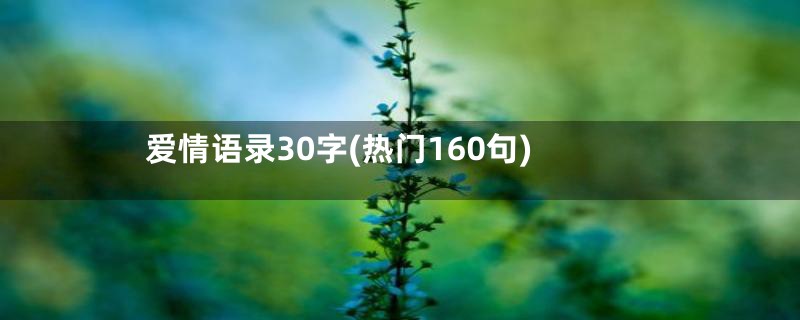 爱情语录30字(热门160句)