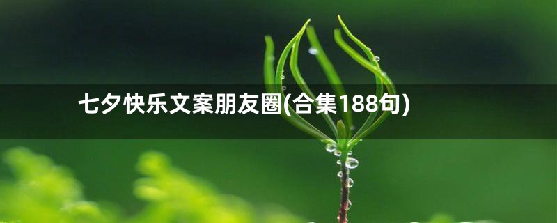 七夕快乐文案朋友圈(合集188句)