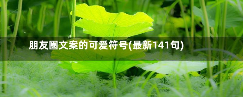 朋友圈文案的可爱符号(最新141句)