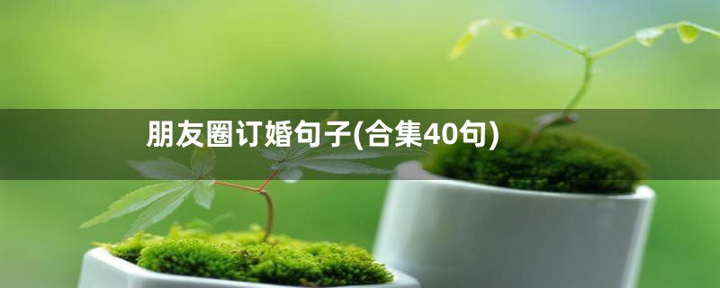 朋友圈订婚句子(合集40句)