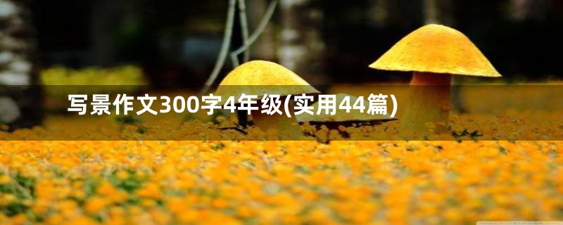 写景作文300字4年级(实用44篇)