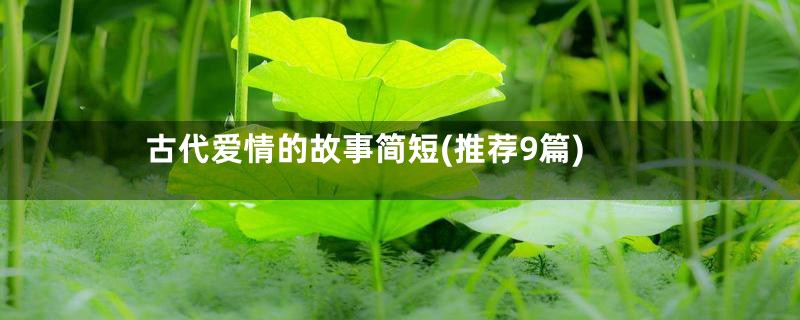 古代爱情的故事简短(推荐9篇)